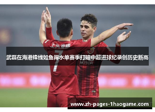 武磊在海港锋线如鱼得水单赛季打破中超进球纪录创历史新高